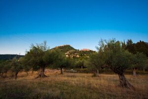 &Phi;&omega;&tau;&omicron;&gamma;&rho;&alpha;&phi;&iota;&kappa;ό &lambda;&epsilon;ύ&kappa;&omega;&mu;&alpha;