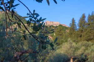 &Phi;&omega;&tau;&omicron;&gamma;&rho;&alpha;&phi;&iota;&kappa;ό &lambda;&epsilon;ύ&kappa;&omega;&mu;&alpha;